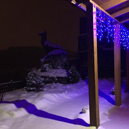 Guesthouse Grand Canyon Kamjanez-Podilskyj Exterior foto